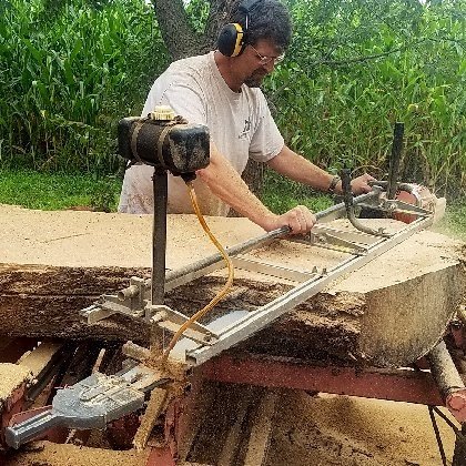 Cutting a large oak slab destined to be a dining table